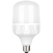 LED ALTA POTENCIA E27 30 W 6500ºK