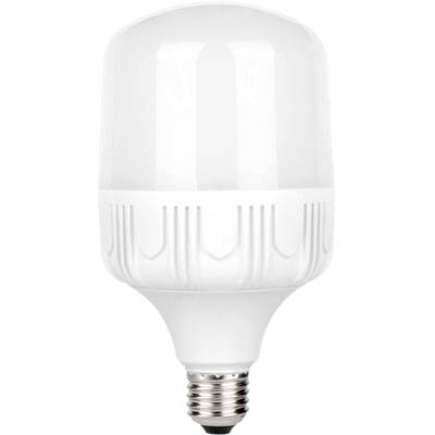 LED ALTA POTENCIA E27 50 W 6500ºK