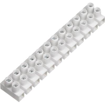 Regleta conexión profesional blanca 4 mm (tira 12 polos)